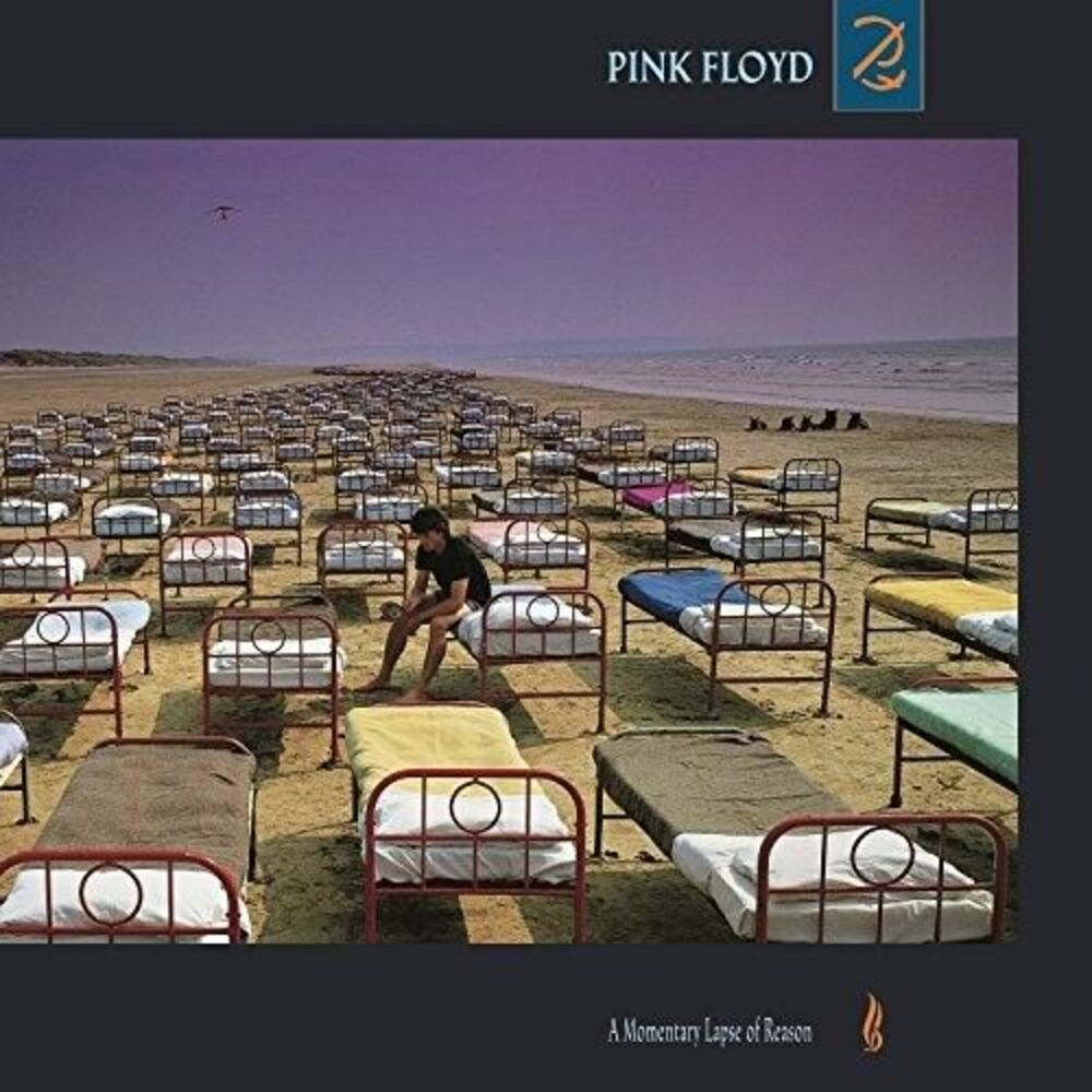 Momentary Lapse Of Reason